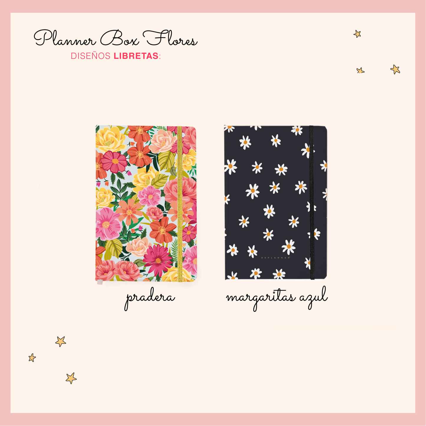PLANNER BOX FLORES XL