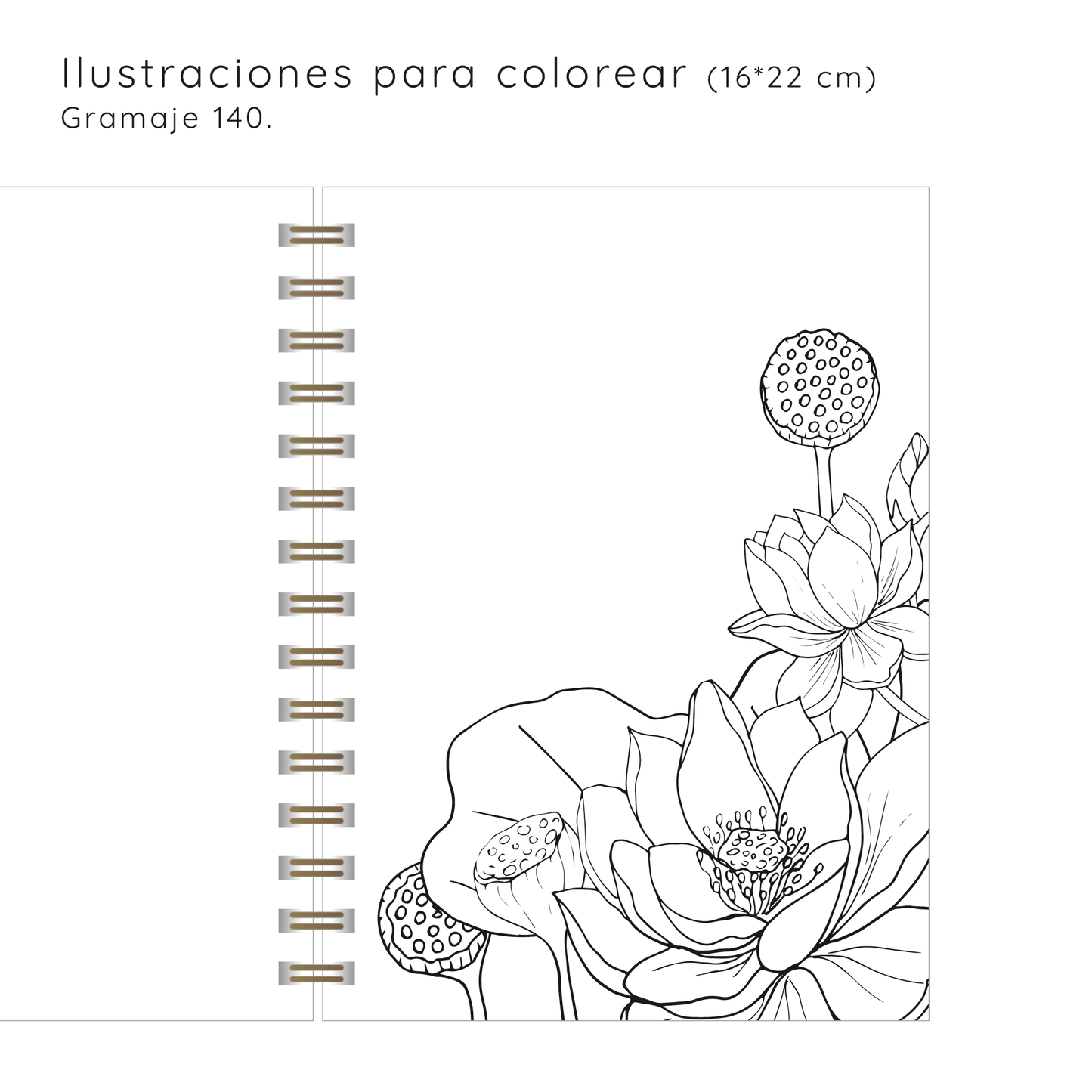 Planner Flores Proteas Rose