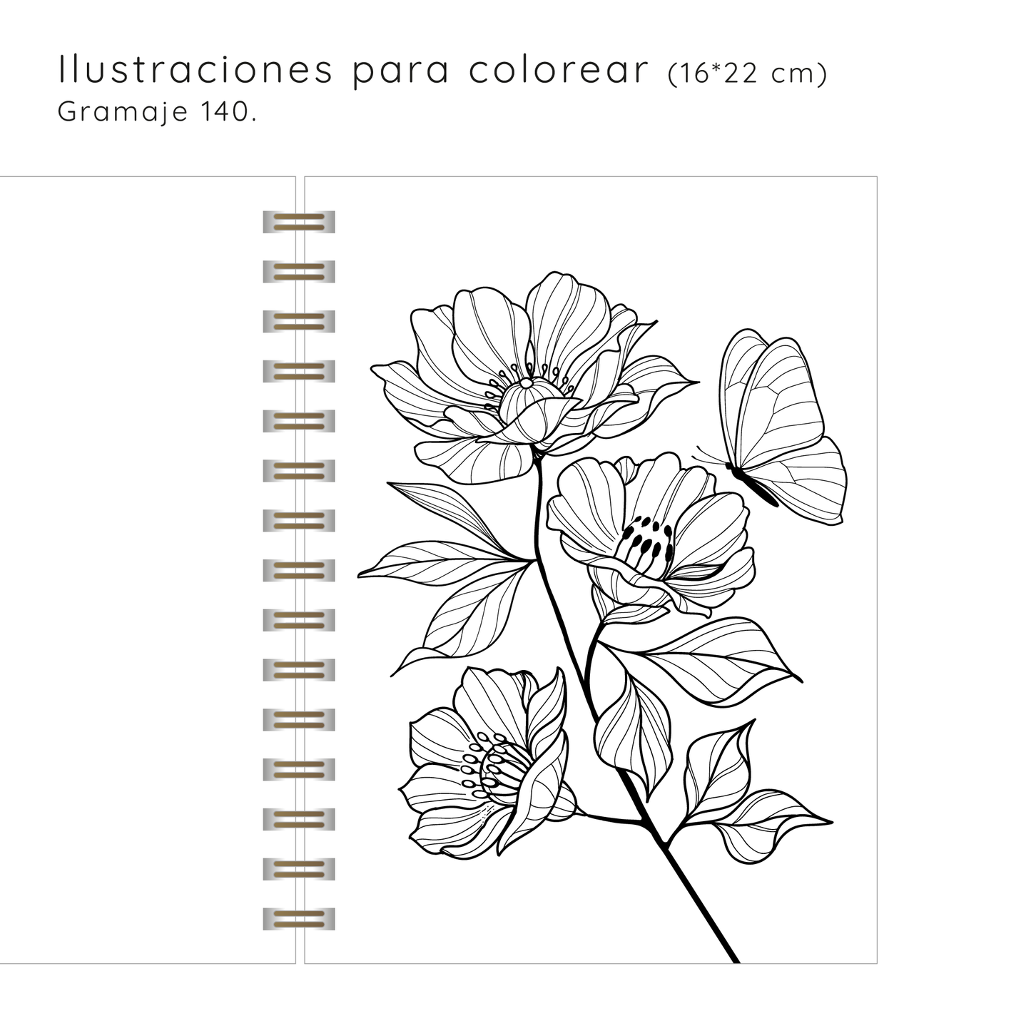 Planner Flores Proteas Rose