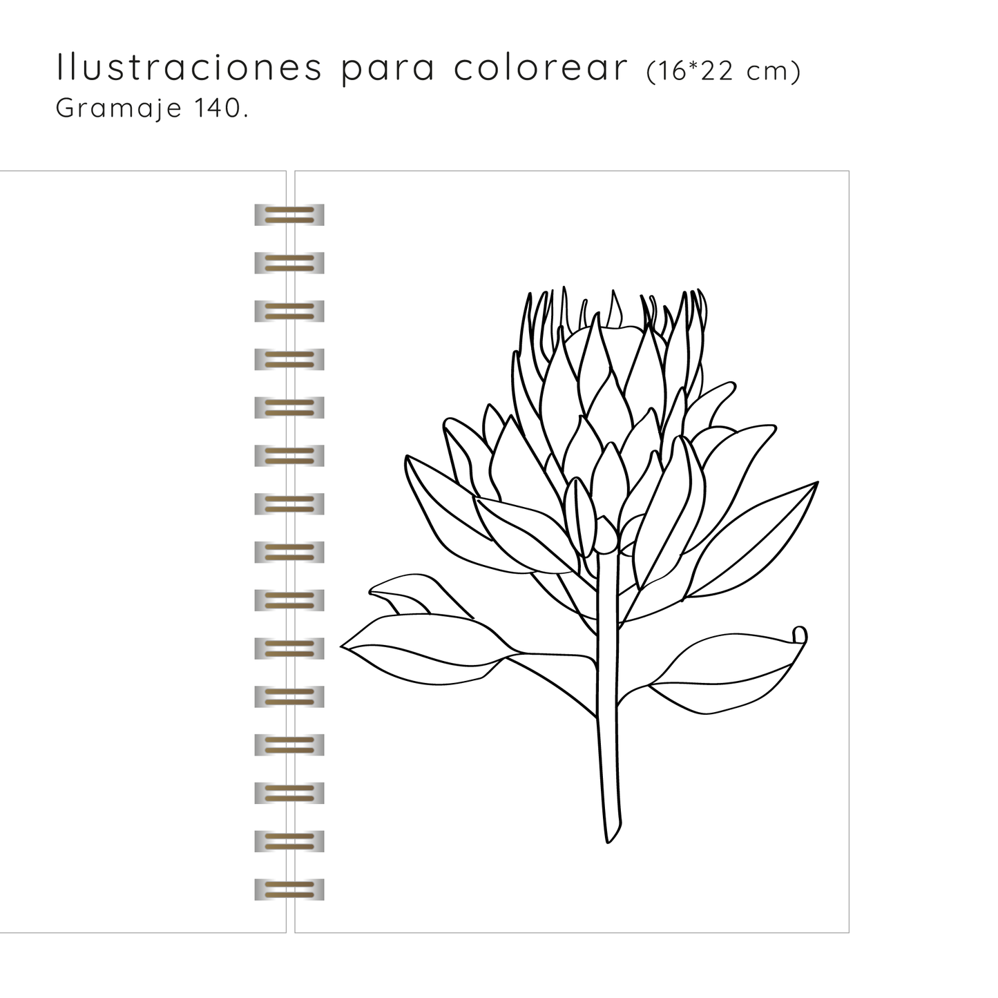 Planner Flores Hojas Silvestres