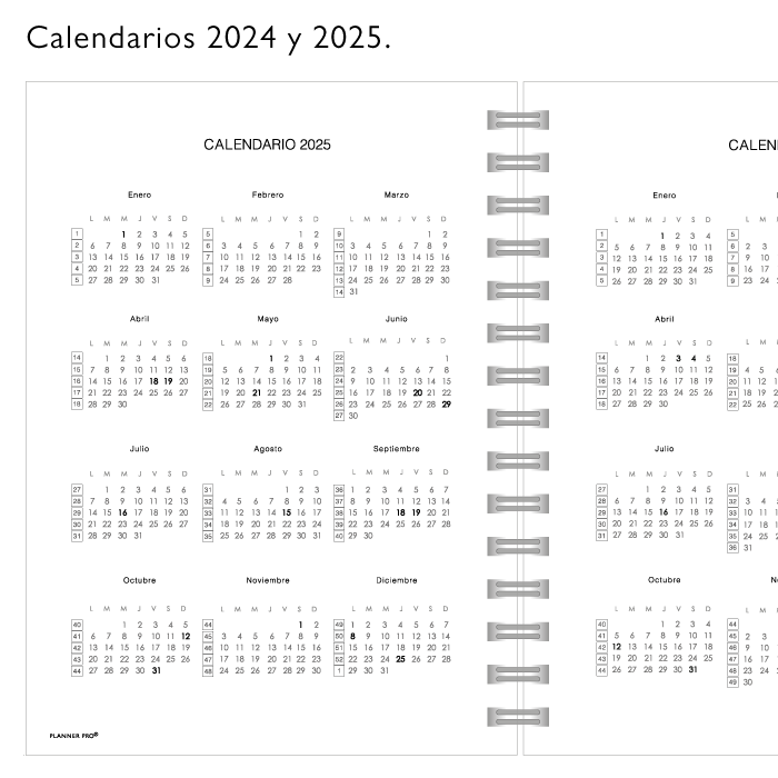 Planner Pro Rojo