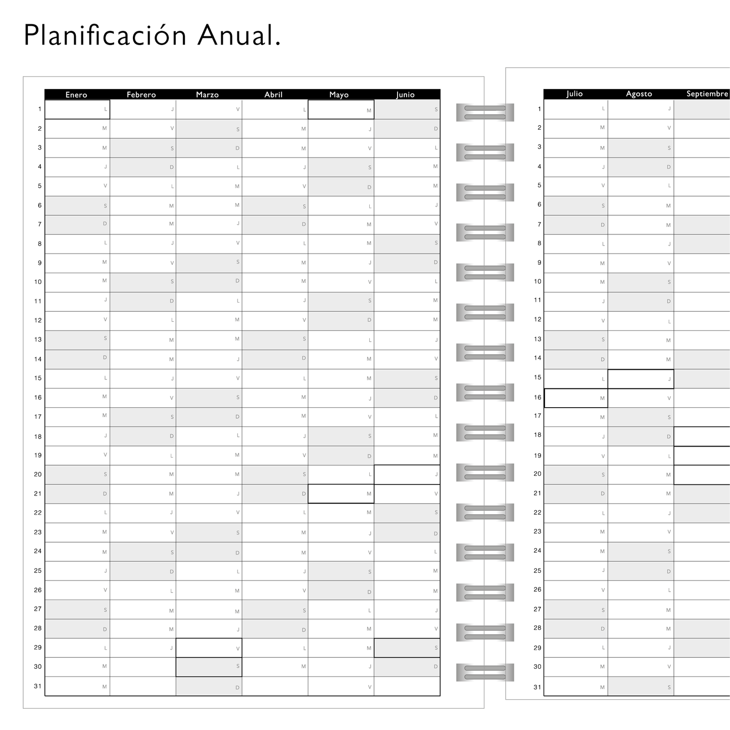 Planner Pro Amarillo