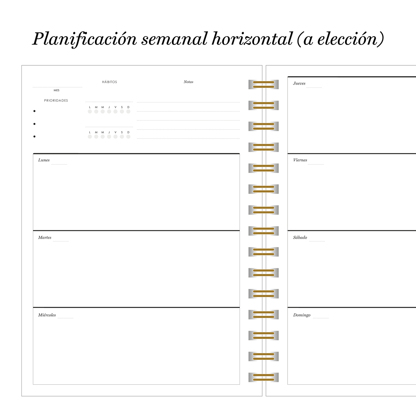 Planner Inspira Apple