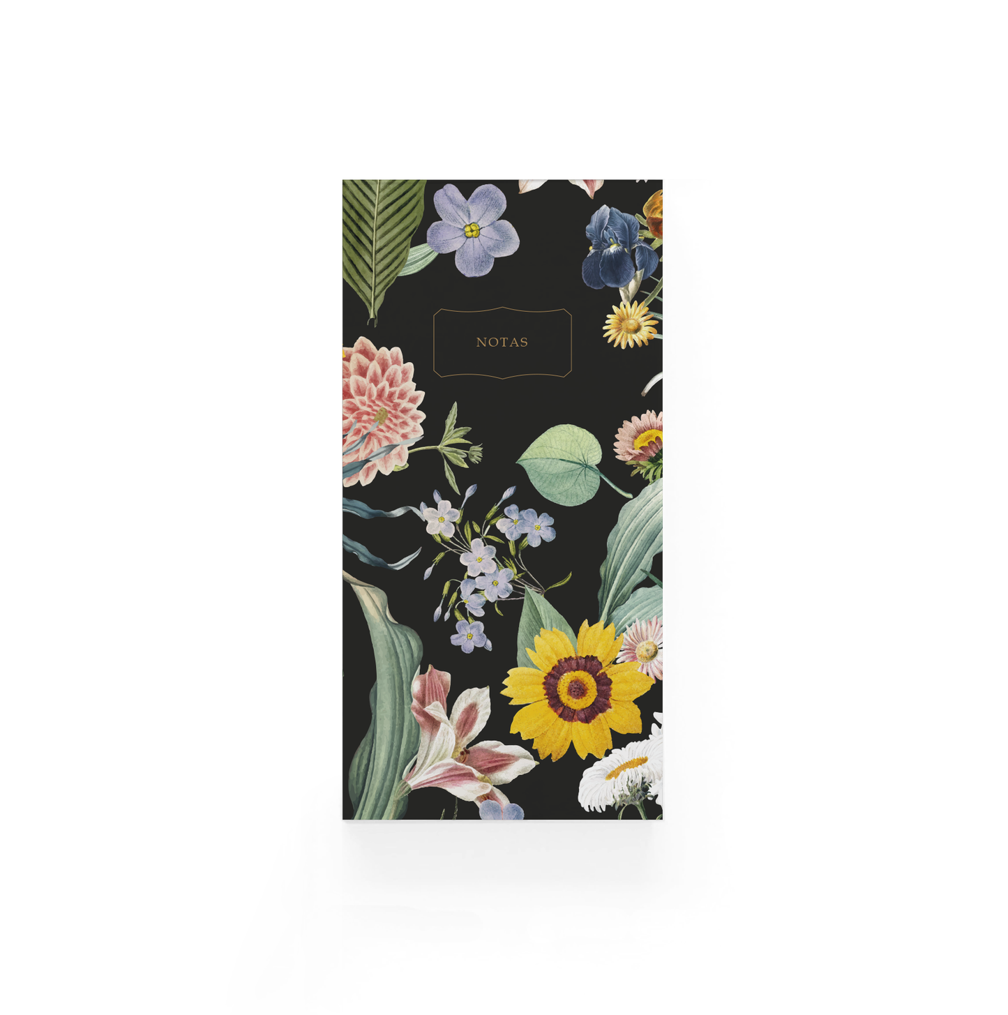 Pack Lilium