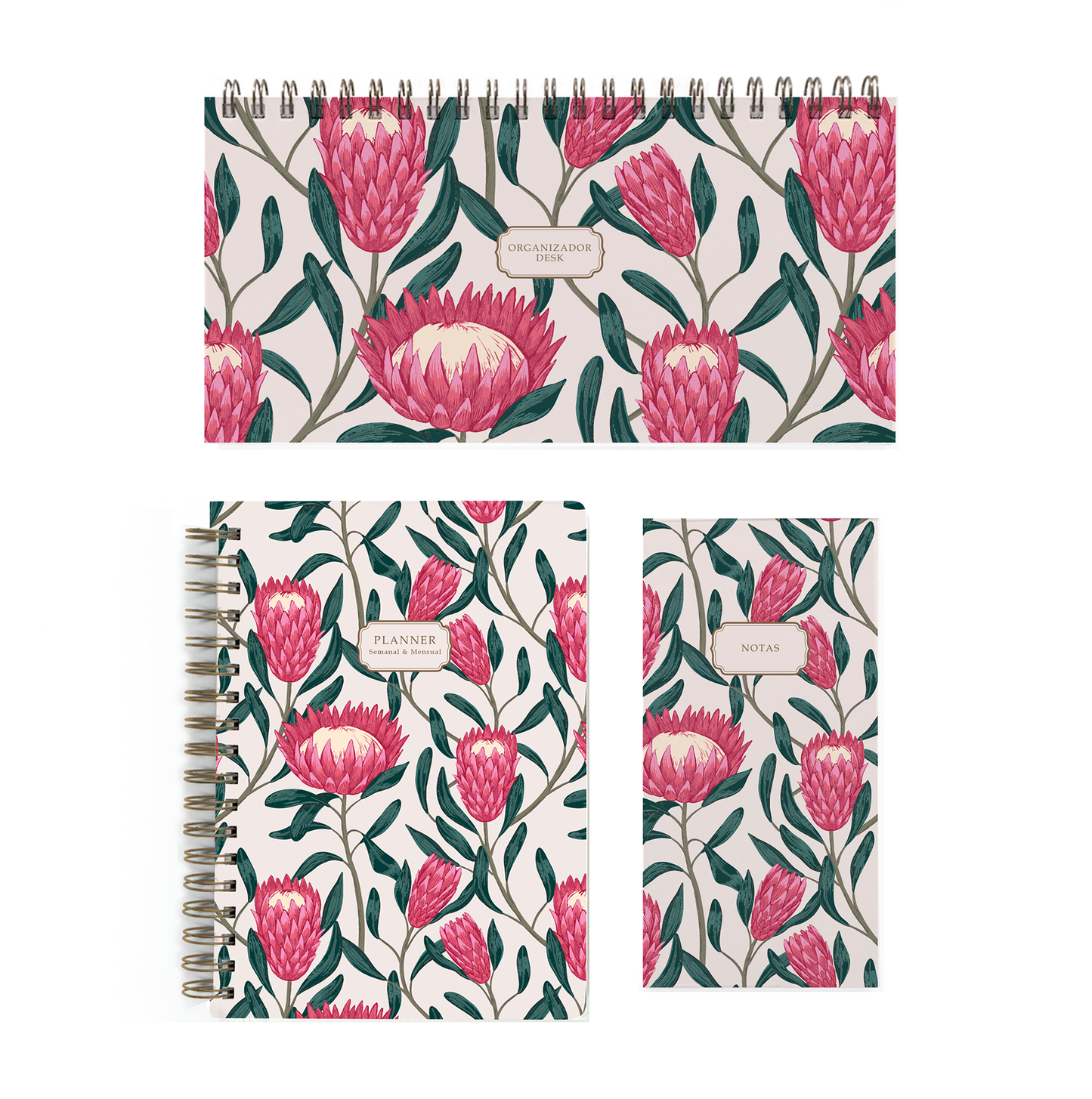 Pack Proteas Pink