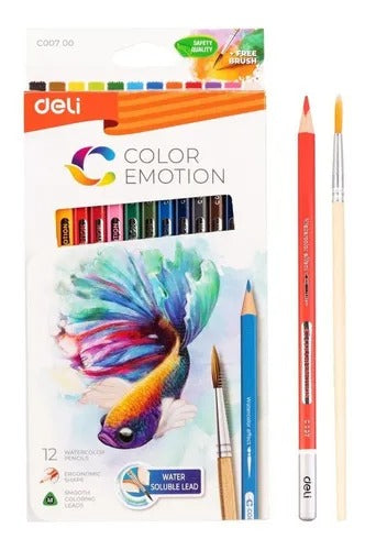 Cuaderno para colorear "Blossom"