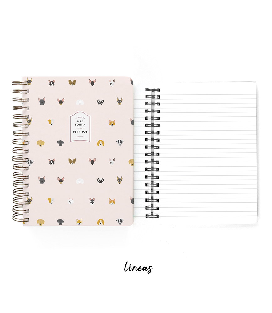 Cuaderno Caritas Nude