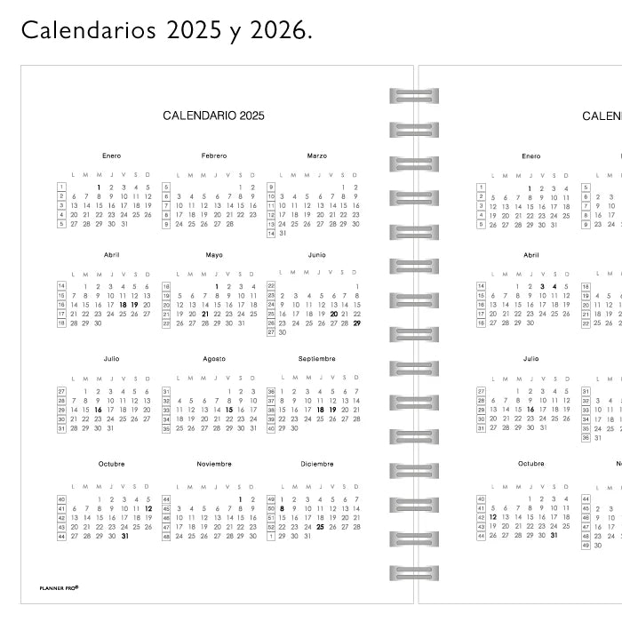 Planner Pro Amarillo