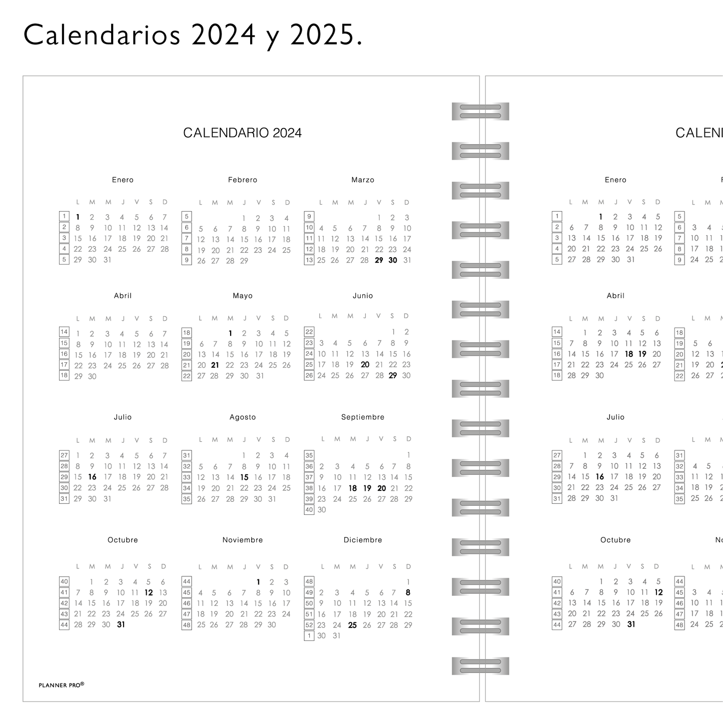 Planner Pro Morado