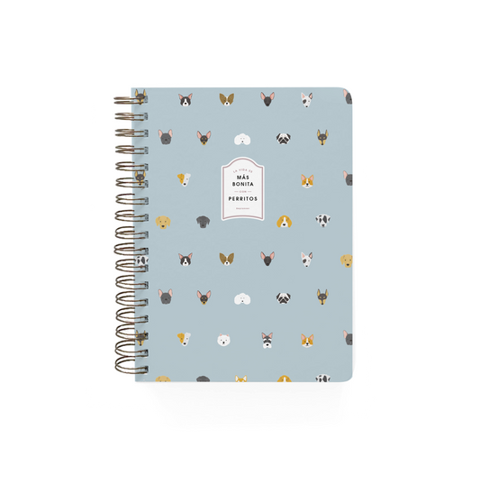 Cuaderno Caritas Celeste