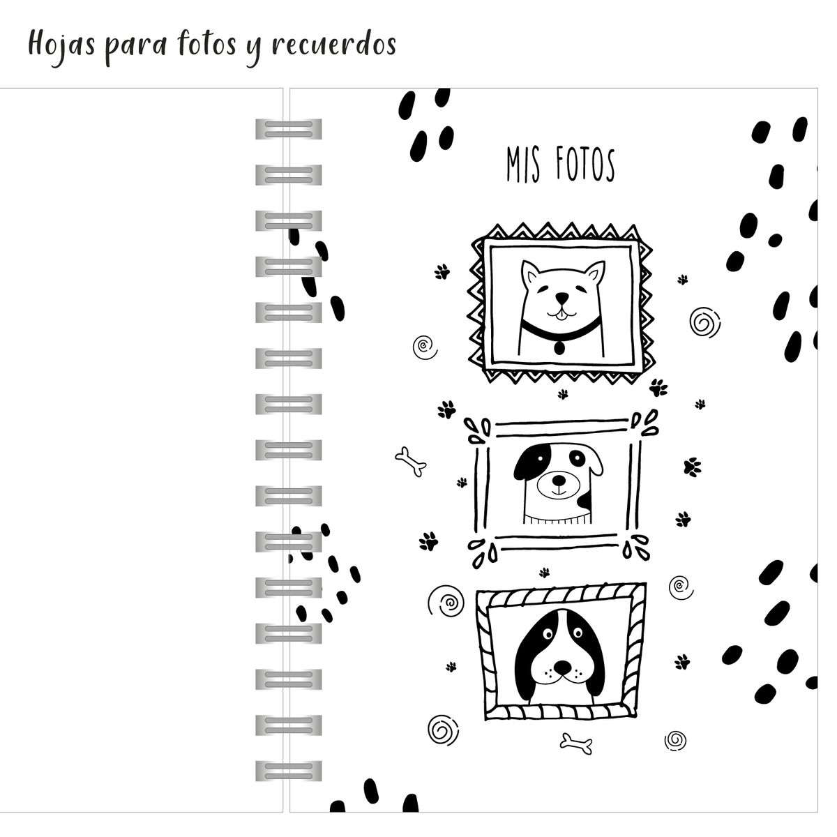 Diario de mi perro 1