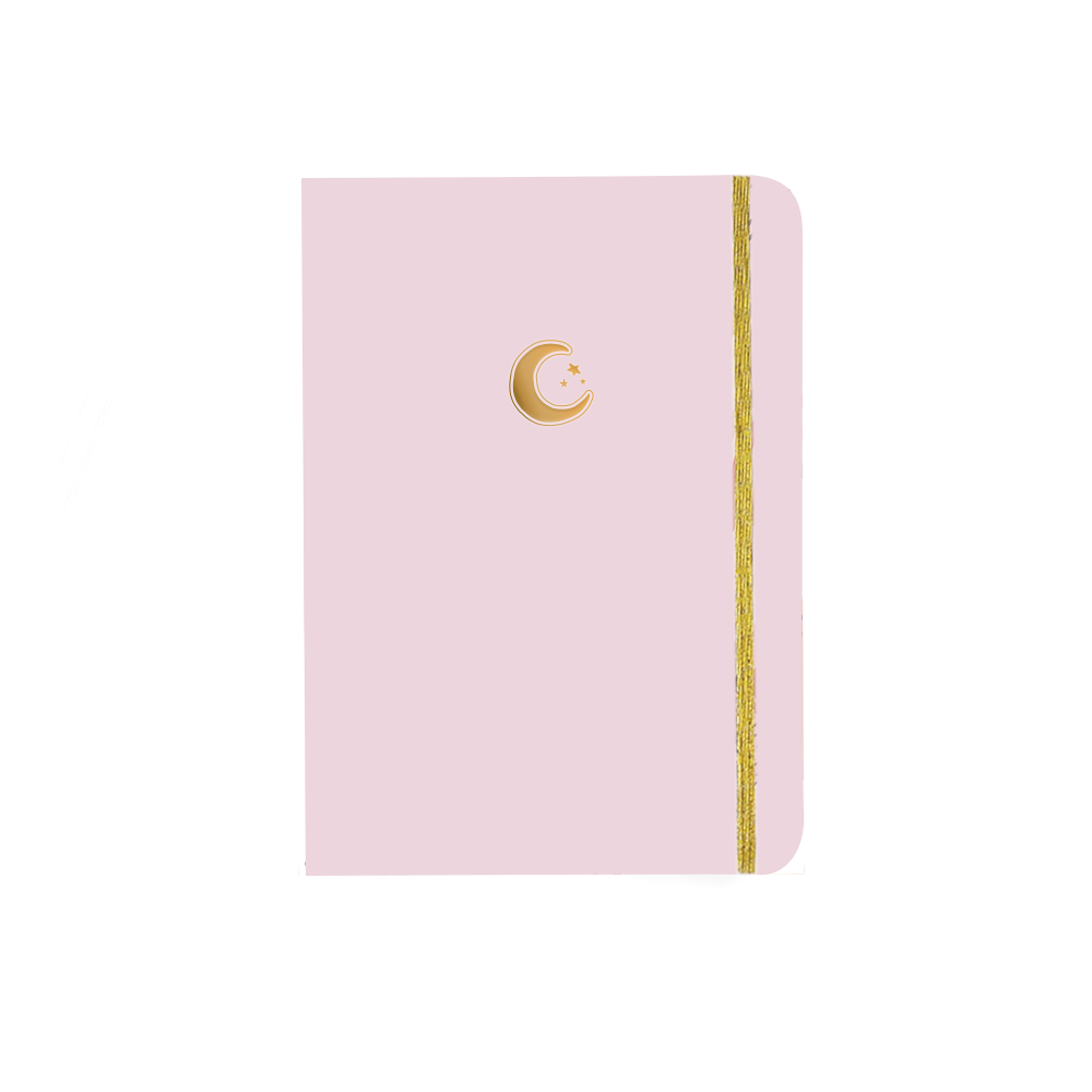 Big Bullet Pink Foil Luna Beplanner