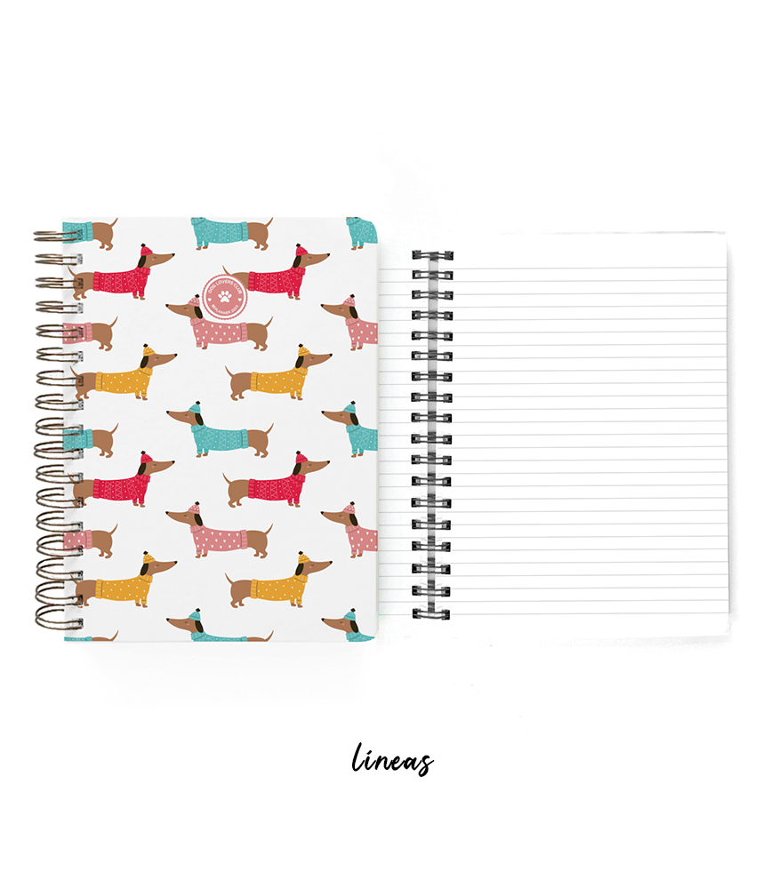 Cuaderno Salchis