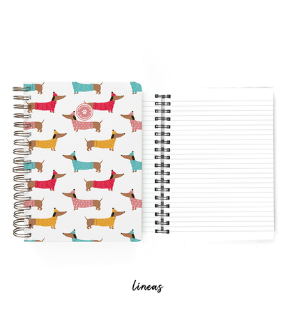 Cuaderno Salchis